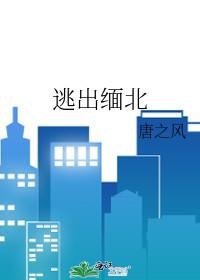逃离缅因州